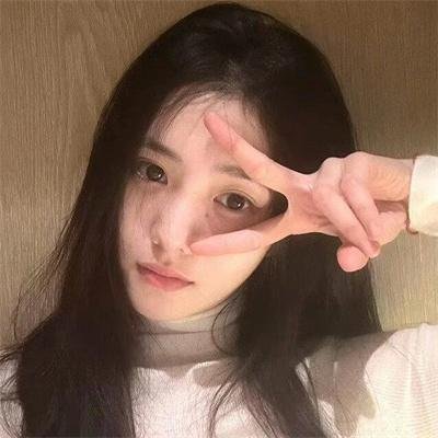 暴风雪中的白鸟