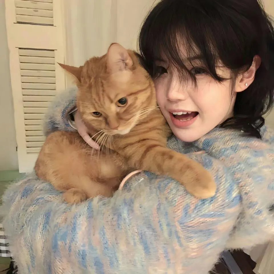 猪猪侠·一只老猪的逆袭